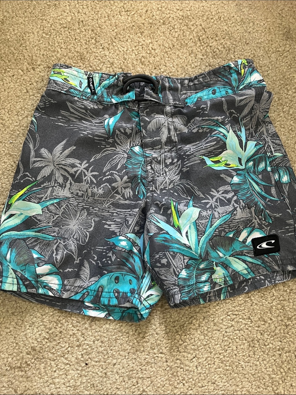 O'Neill Teal & Gray Tropical Swim Shorts